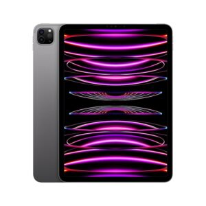 IPAD PRO 11" 4TH M2 256GB